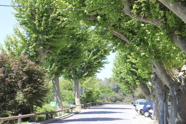 Foto van Villa in Bagnols met Zwembad & Natuurparken - Vakantiehuis in Bagnols en Foret - AreaSummer20KM