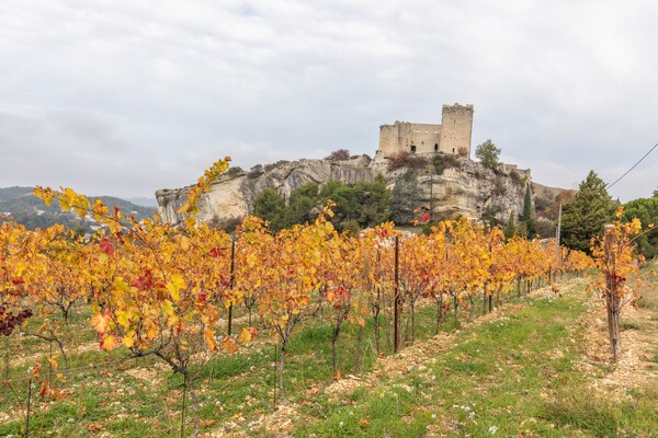Foto van Villa in Provence bij Vaison-la-Romaine - Vakantiehuis in Vaison-La-Romaine - AreaSummer1KM