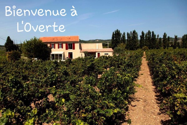 Foto van Vakantiehuis in Rasteau met privézwembad - Vakantiehuis in Rasteau - AreaSummer1KM