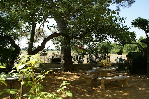Foto van Vakantiehuis in Provence met Zwembad & Tennis - Vakantiehuis in Piolenc - GardenSummer