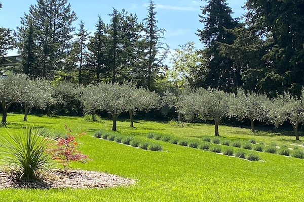 Foto van Landgoed met gedeeld zwembad en jeu de - Vakantiehuis in Valréas - GardenSummer