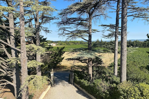 Foto van Veertienpersoons Valréas Vakantiehuis - Vakantiehuis in Valréas - AreaSummer1KM