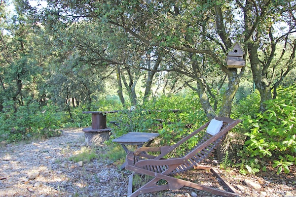Foto van Prachtig vakantiehuis met privézwembad - Vakantiehuis in Sérignan-Du-Comtat - GardenSummer