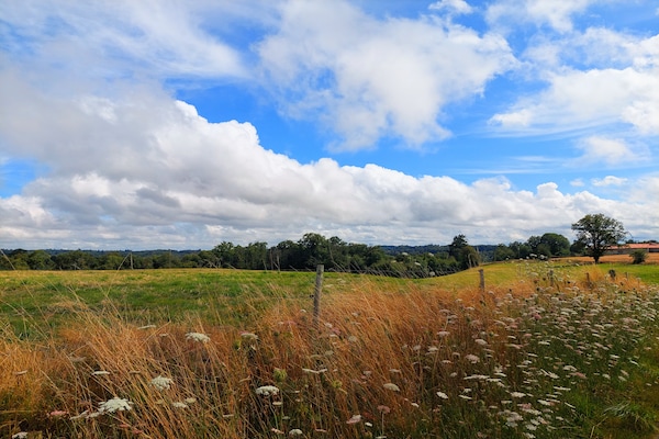 Foto van Vakantiehuis in Haute-Vienne bij natuurpark - Vakantiehuis in Les Salles-Lavauguyon - ExteriorSummer