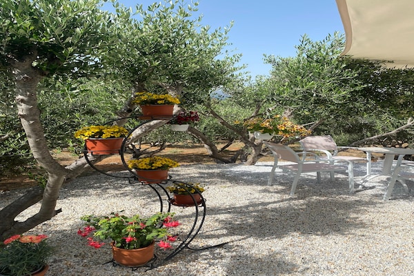 Foto van Villa in Sisi bij Strand en Olijfbomen - Vakantiehuis in Milatos - GardenSummer