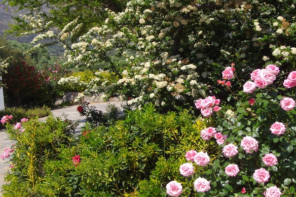 Foto van Villa in Lefkogia met Zwembad - Vakantiehuis in Lefkogia - GardenSummer