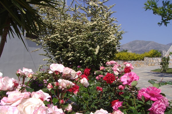Foto van Villa in Lefkogia met Zwembad - Vakantiehuis in Lefkogia - GardenSummer