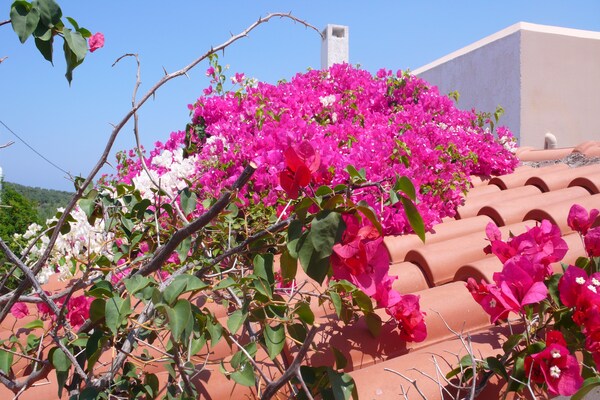 Foto van Villa in Loutra met Zeezicht en Zwembad - Vakantiehuis in Loutra, Rethymno - ExteriorSummer