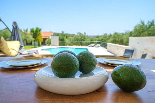 Foto van Villa in Adele met zwembad en olijfboomzicht - Vakantiehuis in Adèle - Ambiance