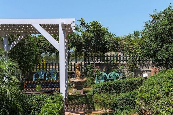Foto van Vakantiehuis, Marathokefala bij Kolimbari - Vakantiehuis in Marathokefala - GardenSummer
