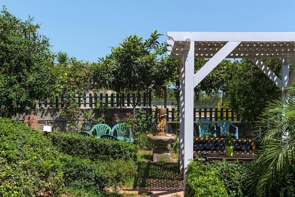 Foto van Vakantiehuis, Marathokefala bij Kolimbari - Vakantiehuis in Marathokefala - GardenSummer