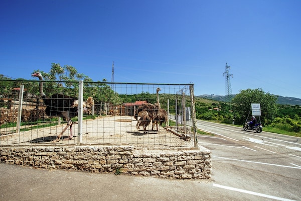Foto van Vakantiehuis Zaton met zwembad bij Canyon - Vakantiehuis in Obrovac - AreaSummer1KM
