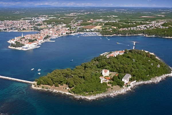 Foto van Villa in Deklici met Infinity Pool & Uitzicht - Vakantiehuis in Kaštelir - AreaSummer20KM