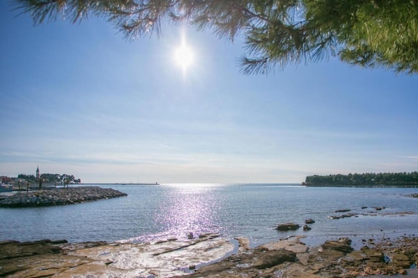 Foto van Villa in Novigrad met Privézwembad en Strand - Vakantiehuis in Novigrad - AreaSummer20KM