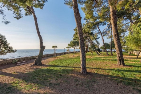 Foto van Villa in Novigrad met Privézwembad en Strand - Vakantiehuis in Novigrad - AreaSummer20KM
