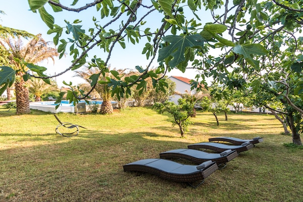 Foto van Ontsnapping aan de kust van Bibinje - Vakantiehuis in Bibinje - GardenSummer