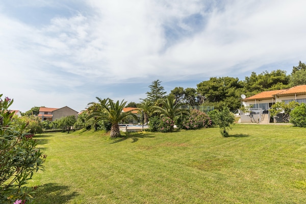 Foto van Ontsnapping aan de kust van Bibinje - Vakantiehuis in Bibinje - GardenSummer