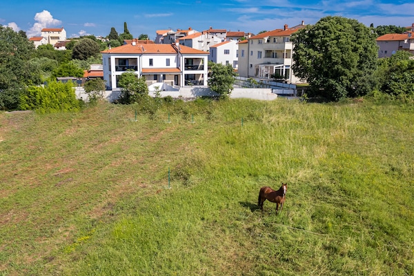 Foto van Villa in Pula bij Hidrobaza Strand - Vakantiehuis in Štinjan - Outdoor
