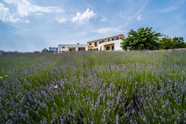 Foto van Villa in Filipana met verwarmd zwembad - Vakantiehuis in Filipana - GardenSummer