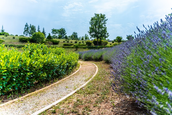 Foto van Villa in Filipana met verwarmd zwembad - Vakantiehuis in Filipana - GardenSummer