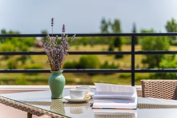 Foto van Villa in Filipana met verwarmd zwembad - Vakantiehuis in Filipana - terrace