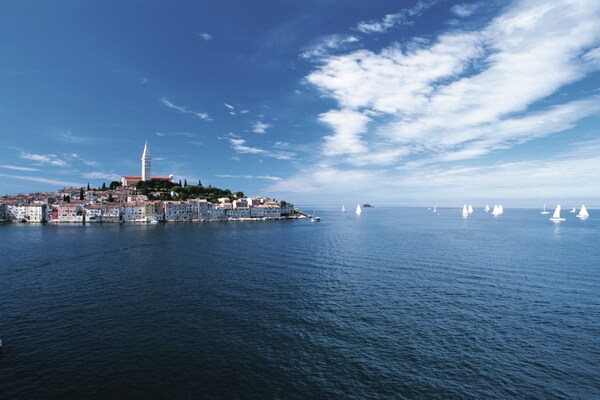 Foto van Villa nabij Poreč met privézwembad - Vakantiehuis in Baderna - AreaSummer20KM