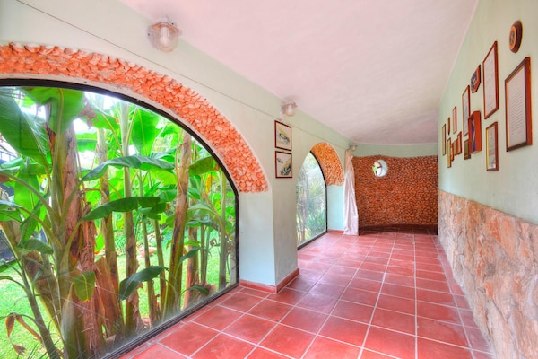 Foto van Vakantiehuis in Sicilië bij Fontane Bianche - Vakantiehuis in Terrauzza - terrace