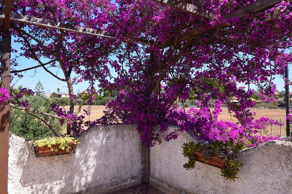 Foto van Vakantiehuis met privézwembad in Fanusa - Vakantiehuis in Fanusa - GardenSummer