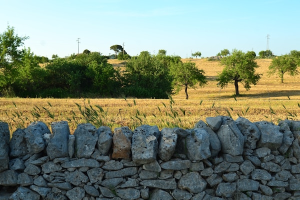 Foto van Vintage villa in Ostuni met een zwembad - Vakantiehuis in Ostuni - ViewSummer