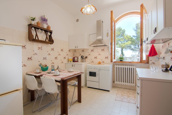Foto van Betoverende kust met uitzicht - Vakantiehuis in Pesaro - Kitchen
