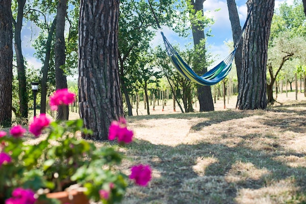 Foto van Betoverende kust met uitzicht - Vakantiehuis in Pesaro - GardenSummer