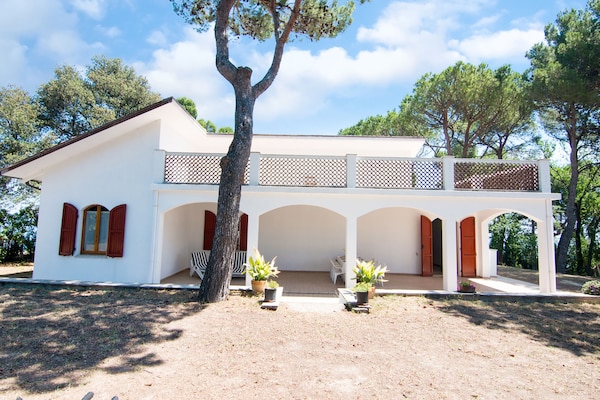 Foto van Betoverende kust met uitzicht - Vakantiehuis in Pesaro - ExteriorSummer