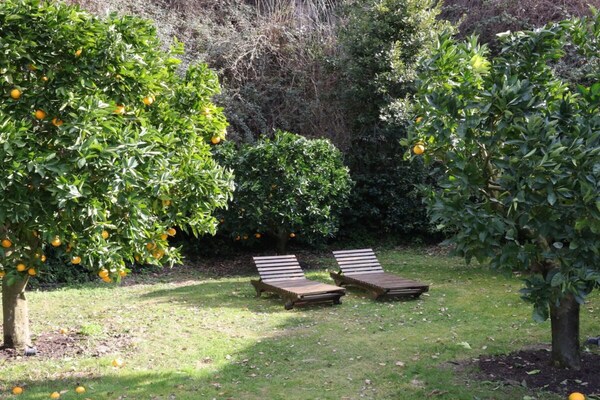 Foto van Vinarte, een prachtige villa en wijndomein - Vakantiehuis in Vaiano - GardenSummer