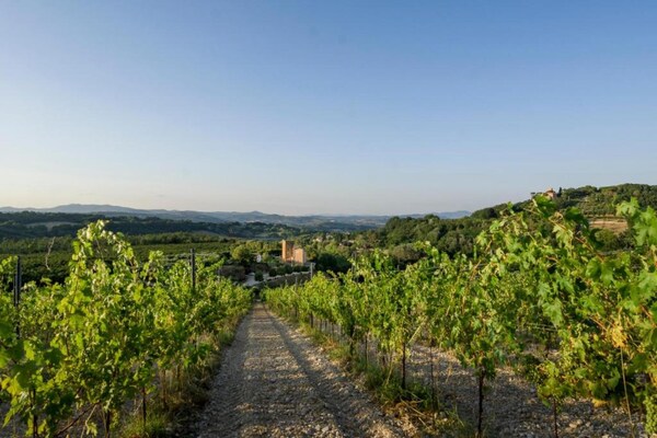 Foto van Villa in Orte met privézwembad - Vakantiehuis in Orte - AreaSummer20KM