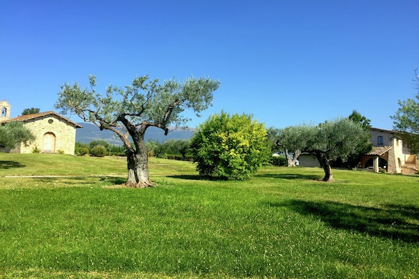 Foto van Umbrisch herenhuis omgeven door wijngaarden - Vakantiehuis in Santa Maria Degli Angeli - ExteriorSummer