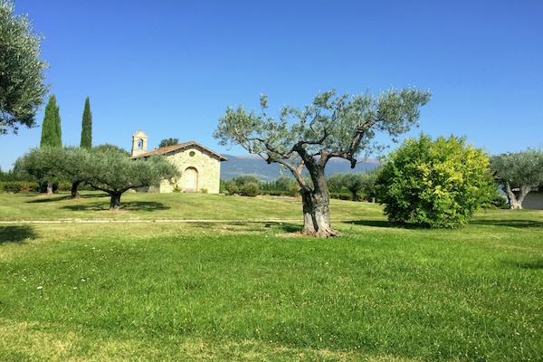 Foto van Umbrisch herenhuis omgeven door wijngaarden - Vakantiehuis in Santa Maria Degli Angeli - ViewSummer