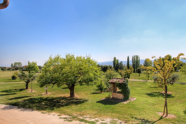 Foto van Umbrisch herenhuis omgeven door wijngaarden - Vakantiehuis in Santa Maria Degli Angeli - GardenSummer