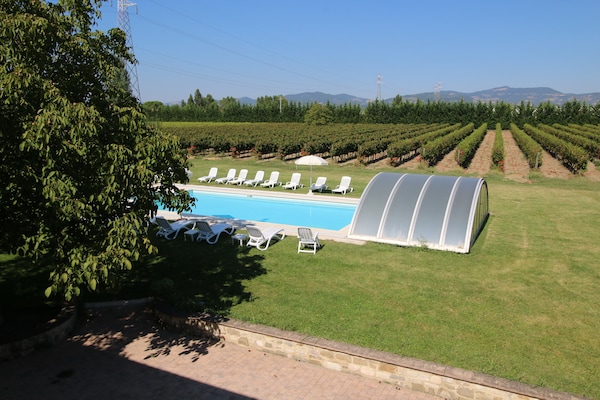 Foto van Umbrisch herenhuis omgeven door wijngaarden - Vakantiehuis in Santa Maria Degli Angeli - Wellness