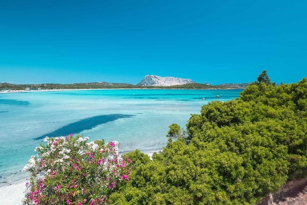 Foto van Vakantieverblijf in San Teodoro voor 6 personen - Vakantiehuis in San Teodoro (SS) - AreaSummer5KM