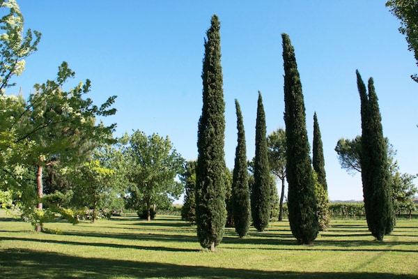Foto van harige vrienden met familie thuis - Vakantiehuis in Faenza - GardenSummer