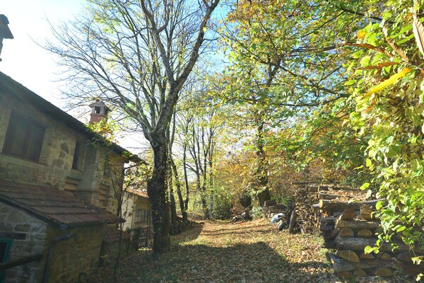 Foto van Rustig stenen chalet - Vakantiehuis in San Marcello Pistoiese - Ambiance