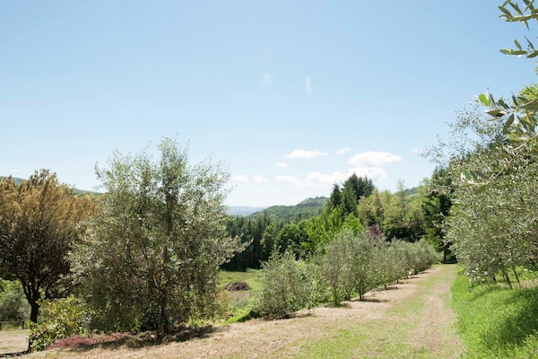 Foto van Villa in Casentino met zwembad en kasteelzicht - Vakantiehuis in Stia - ViewSummer