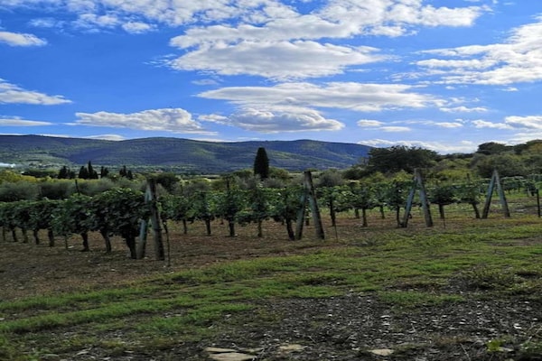 Foto van Villa in Toscane met Privézwembad en Uitzicht - Vakantiehuis in Castiglion Fiorentino - AreaSummer20KM