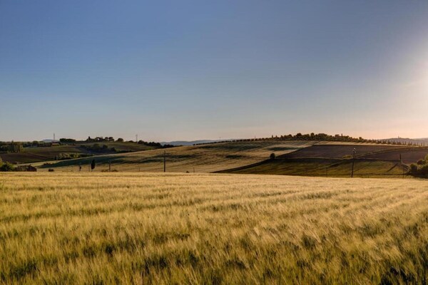 Foto van Landelijke charme nabij Cortona - Vakantiehuis in Cortona - AreaSummer20KM