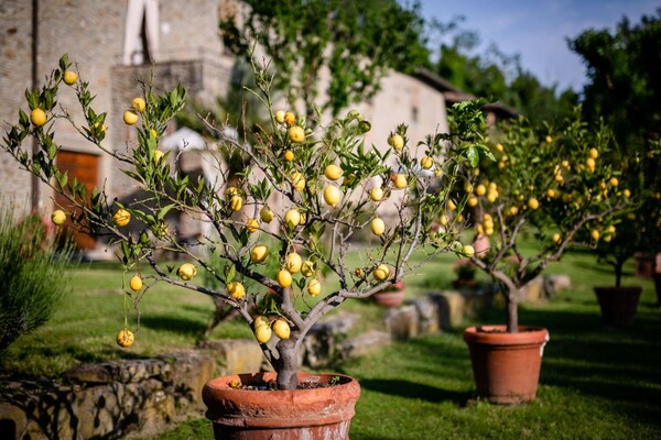 Foto van Villa in Toscane met privézwembad - Vakantiehuis in Cortona - Ambiance