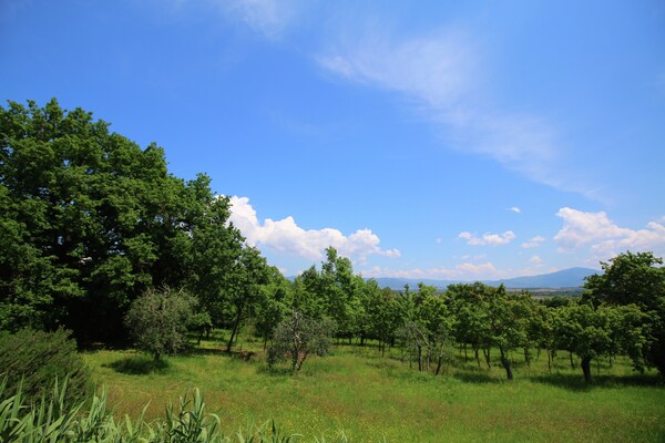 Foto van Villa met zwembad in Marciano - Vakantiehuis in Marciano Della Chiana - AreaSummer1KM