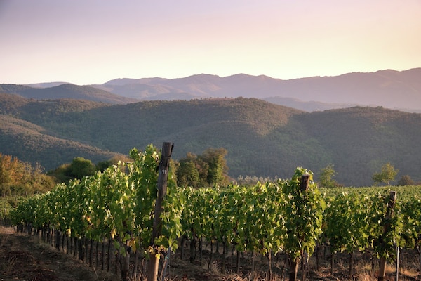 Foto van Villa in Toscane met Wijngaard - Vakantiehuis in Arezzo - ViewSummer