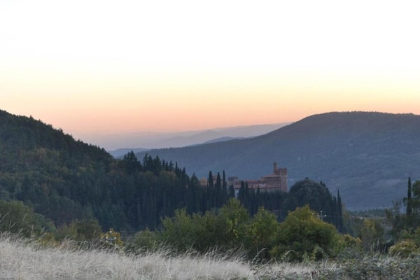 Foto van Villa in Toscane met Wijngaard - Vakantiehuis in Arezzo - AreaSummer20KM