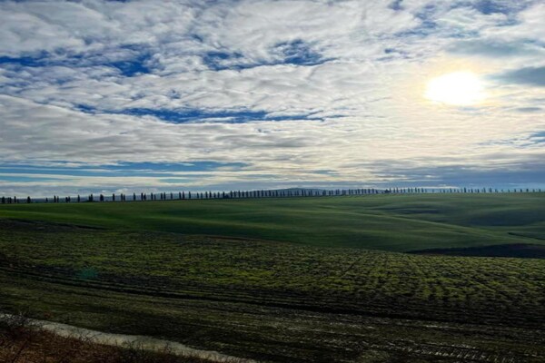 Foto van Groepsretraite met tuin in Toscane - Vakantiehuis in San Giovanni d'asso - AreaSummer5KM