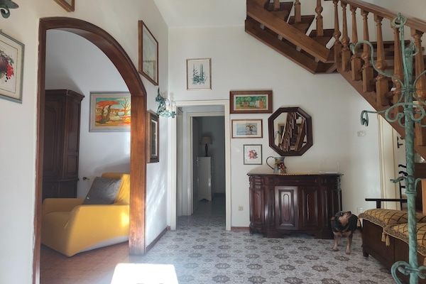 Foto van Vakantiehuis Camaiore bij Lido-stranden - Vakantiehuis in Camaiore - Stairs